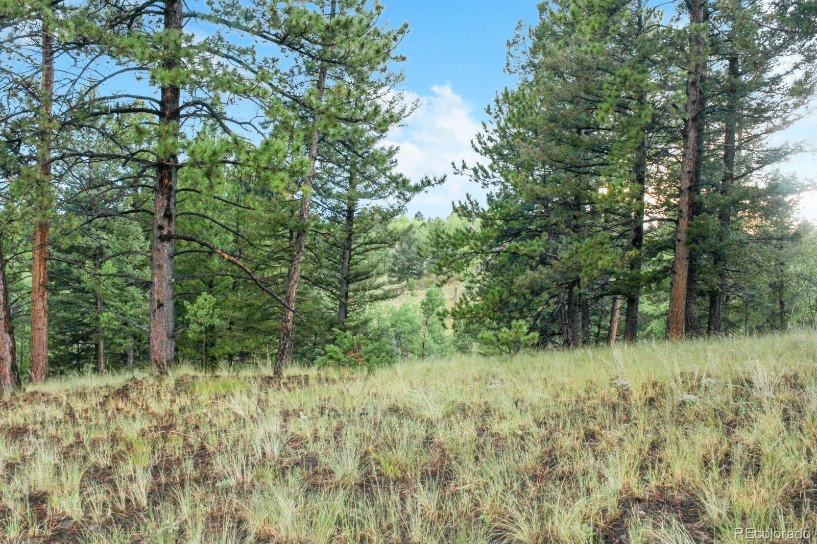 131 Lost Lake Circle Divide CO 80814
