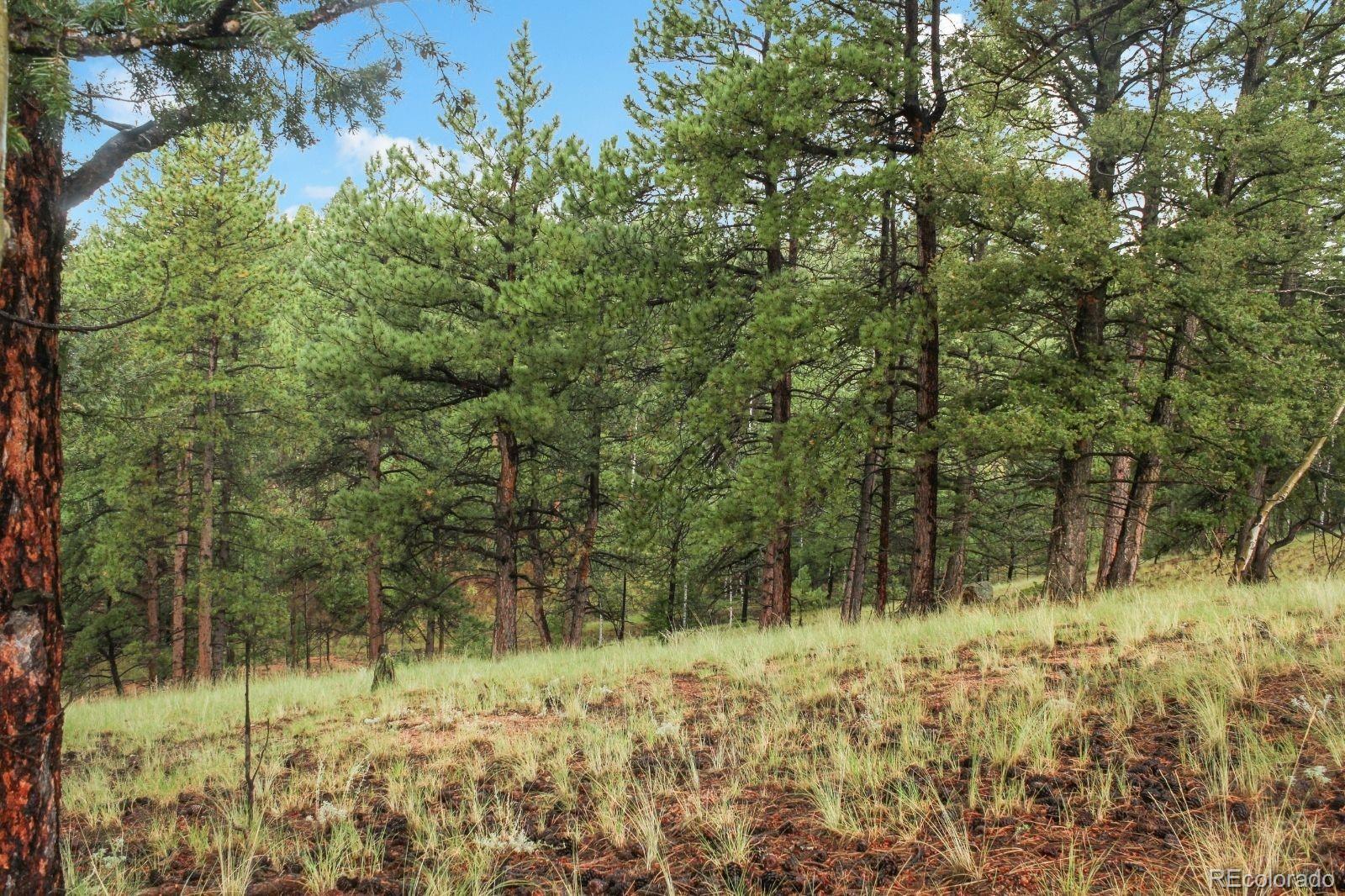 131 Lost Lake Circle Divide CO 80814
