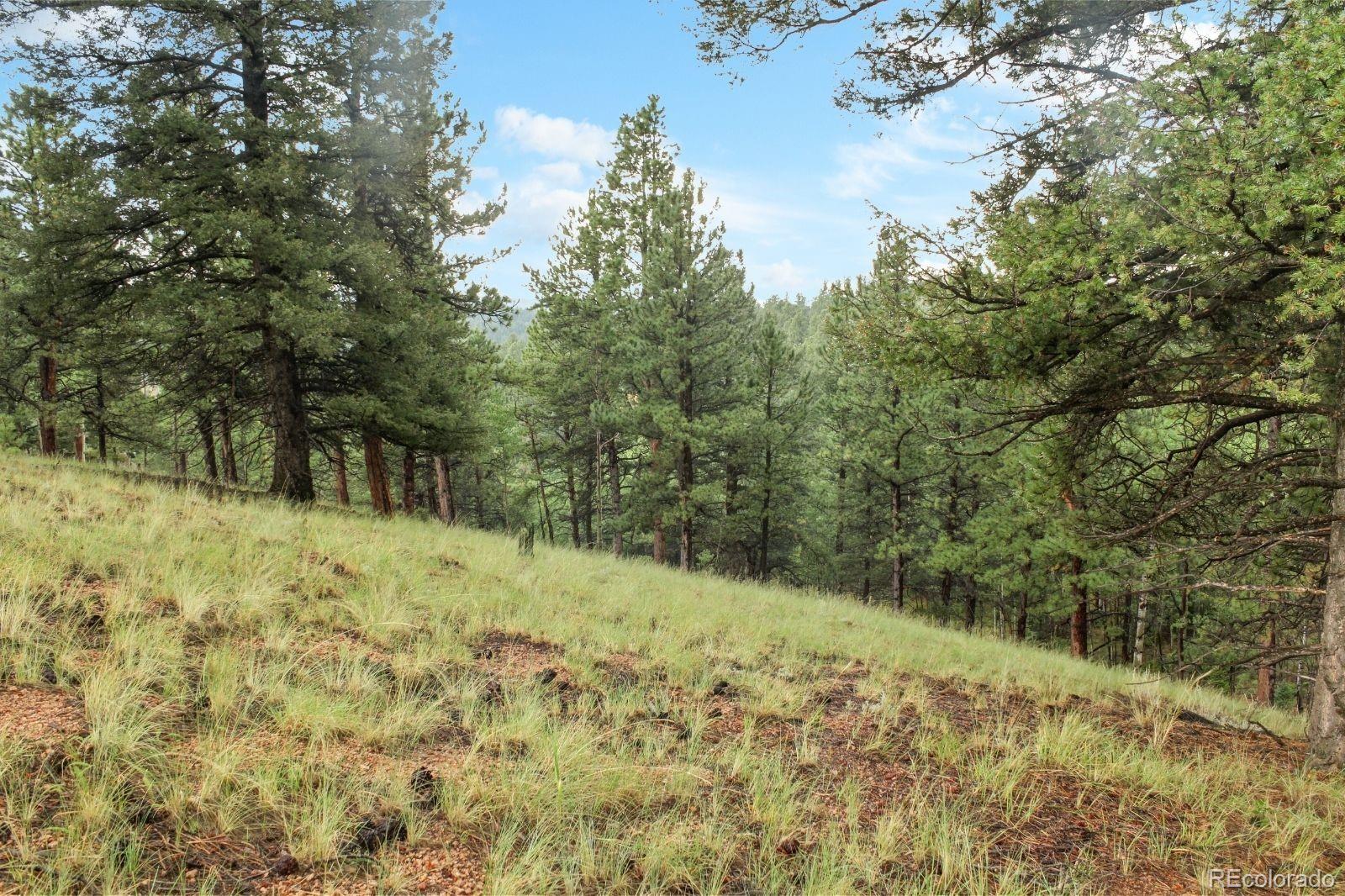 131 Lost Lake Circle Divide CO 80814