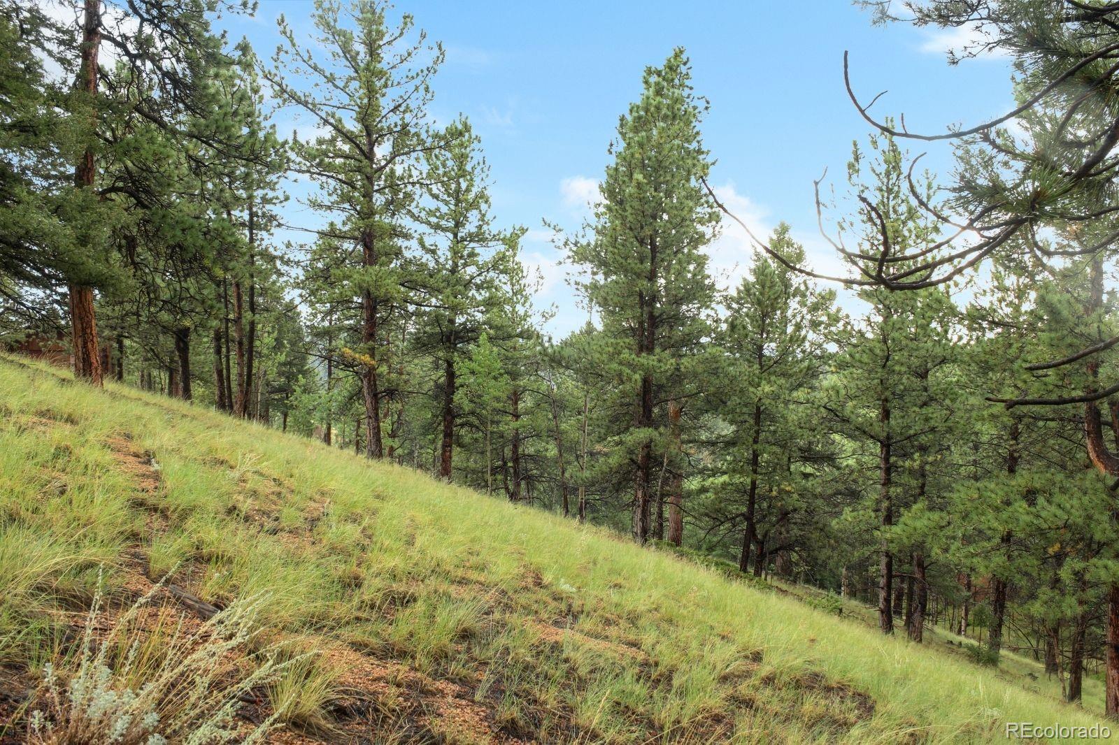 131 Lost Lake Circle Divide CO 80814
