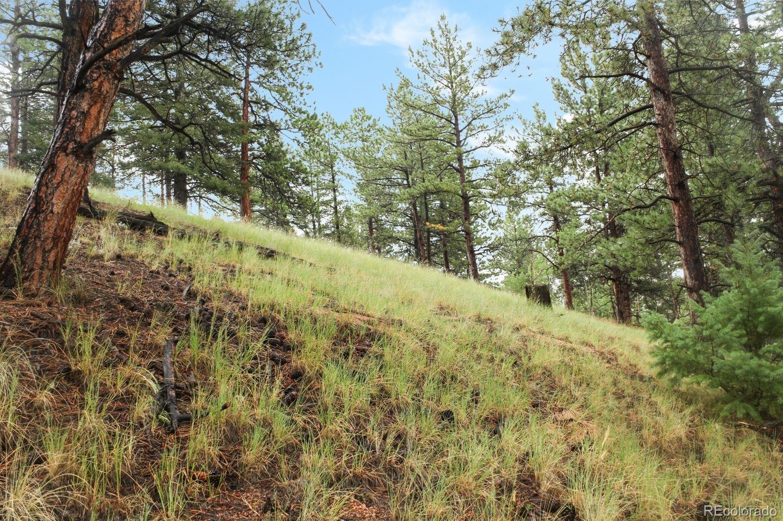 131 Lost Lake Circle Divide CO 80814