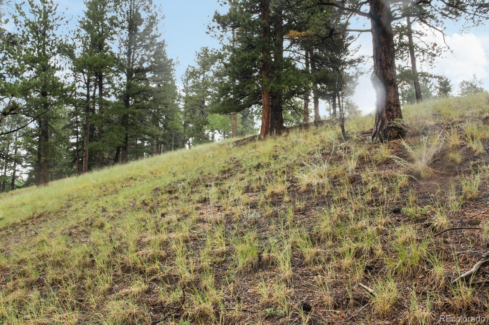 131 Lost Lake Circle Divide CO 80814