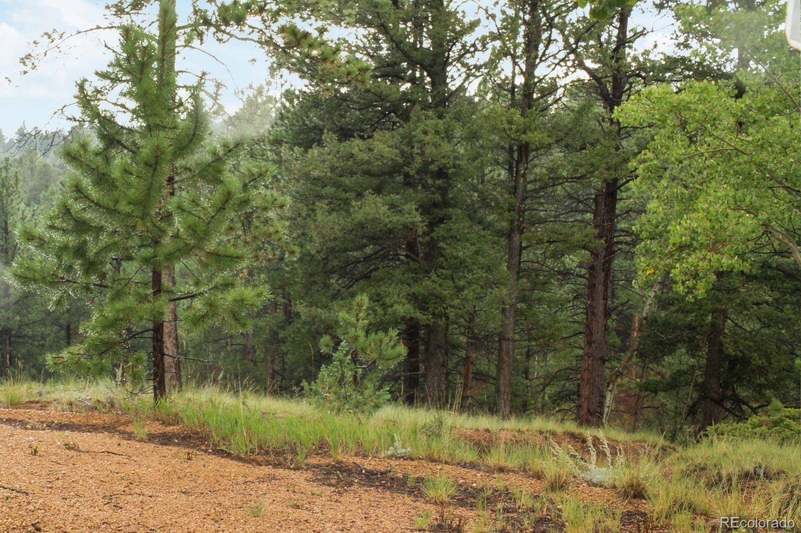 131 Lost Lake Circle Divide CO 80814