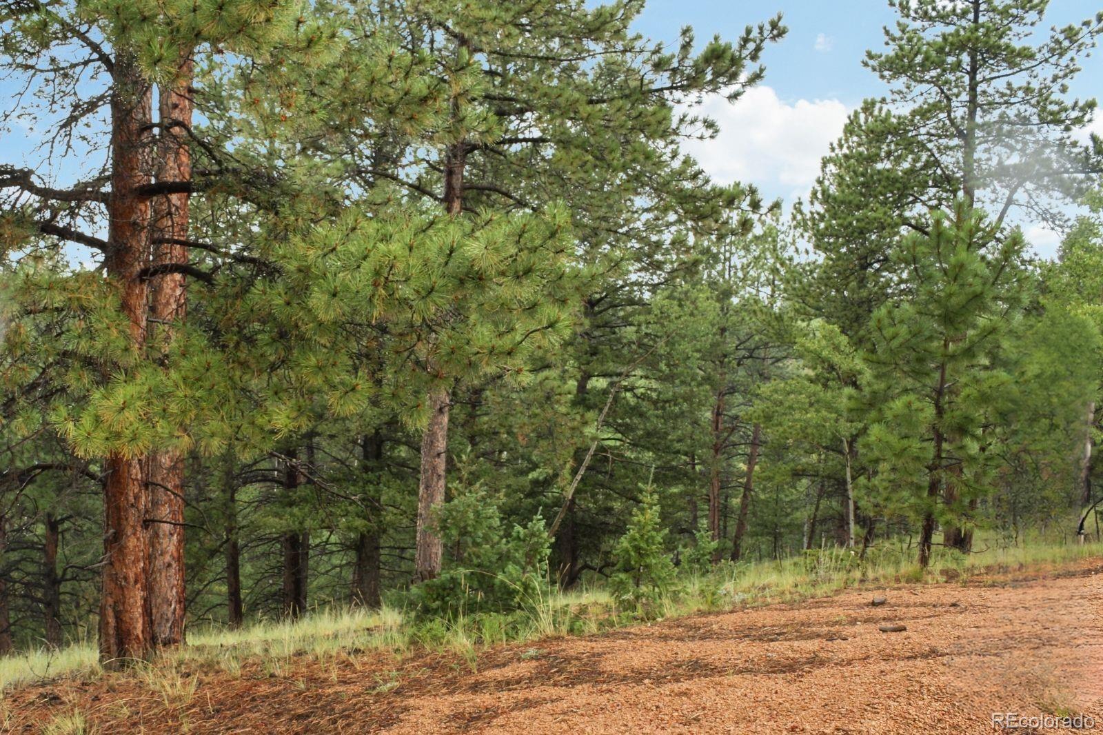 131 Lost Lake Circle Divide CO 80814