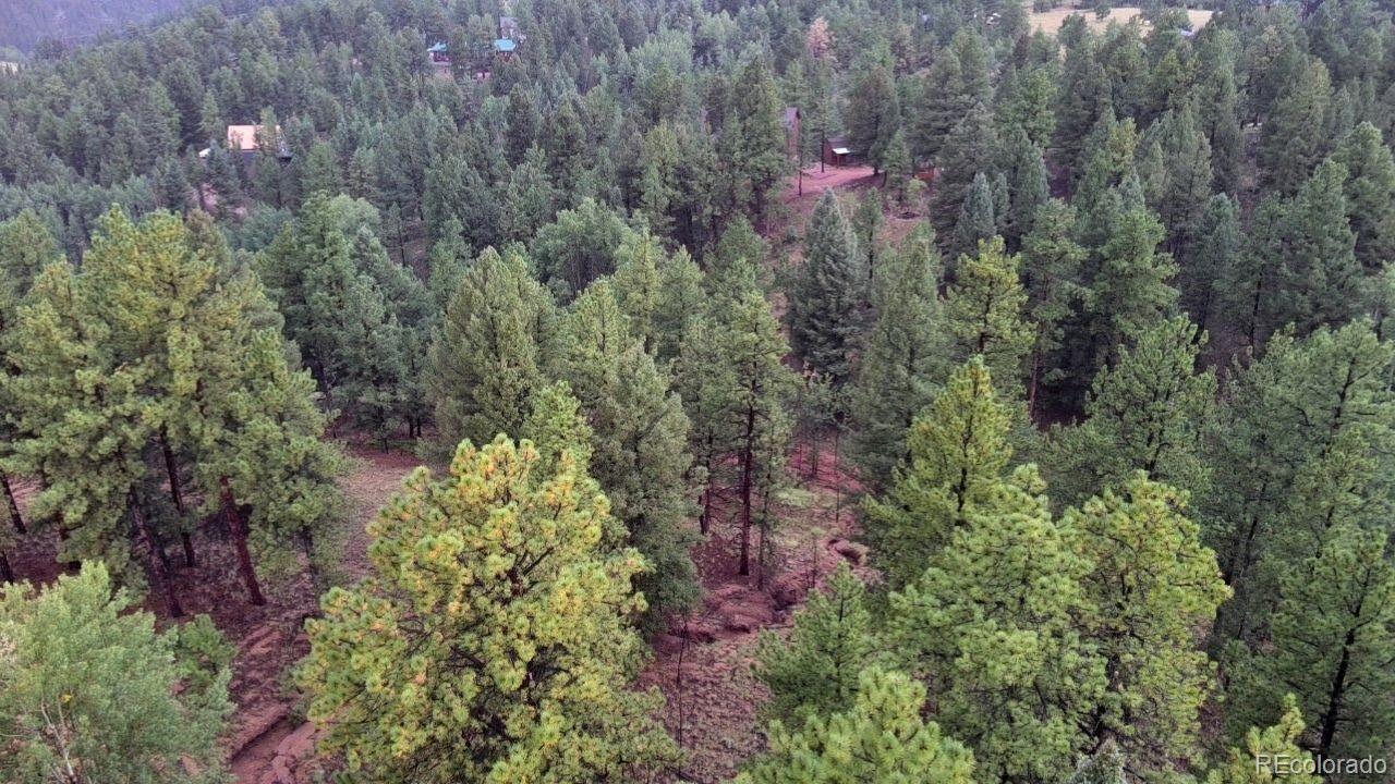 131 Lost Lake Circle Divide CO 80814