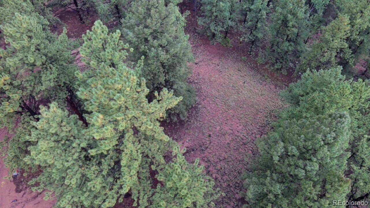 131 Lost Lake Circle Divide CO 80814