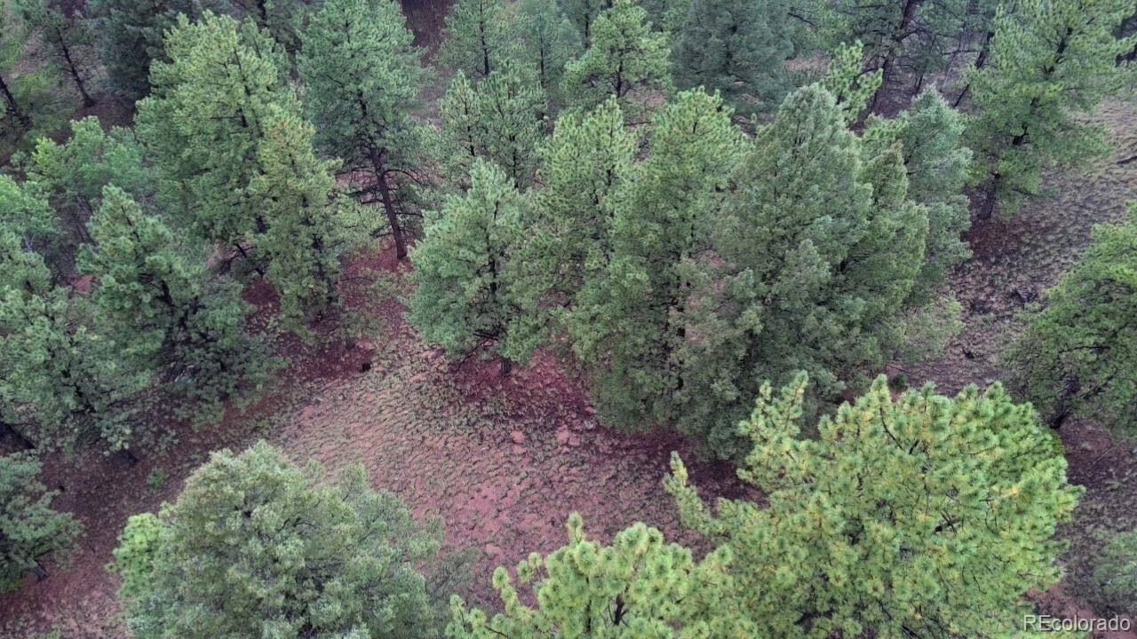 131 Lost Lake Circle Divide CO 80814