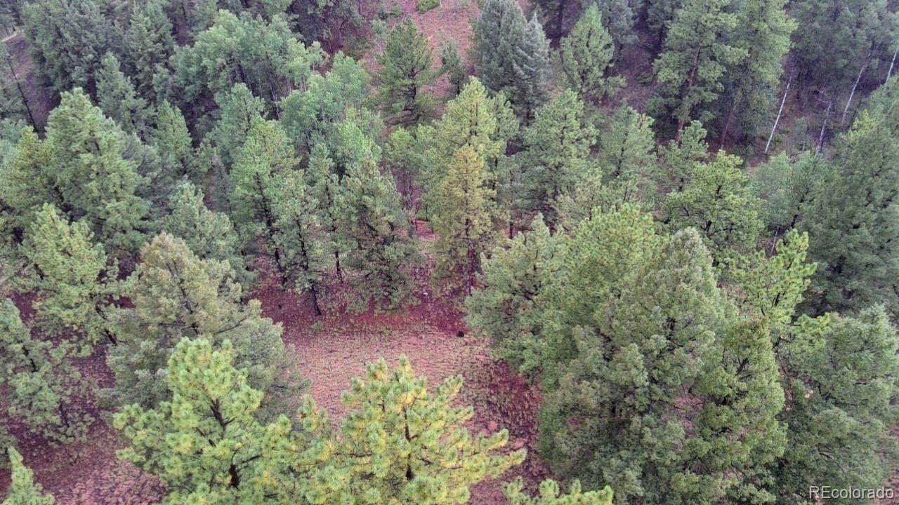 131 Lost Lake Circle Divide CO 80814