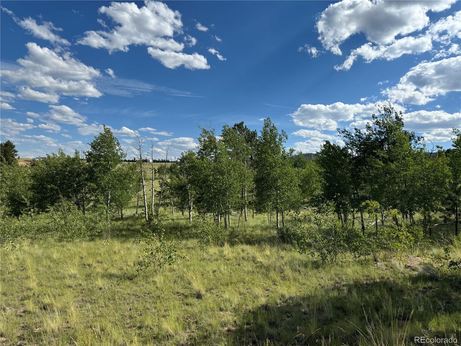 833 Angus Circle Hartsel CO 80449