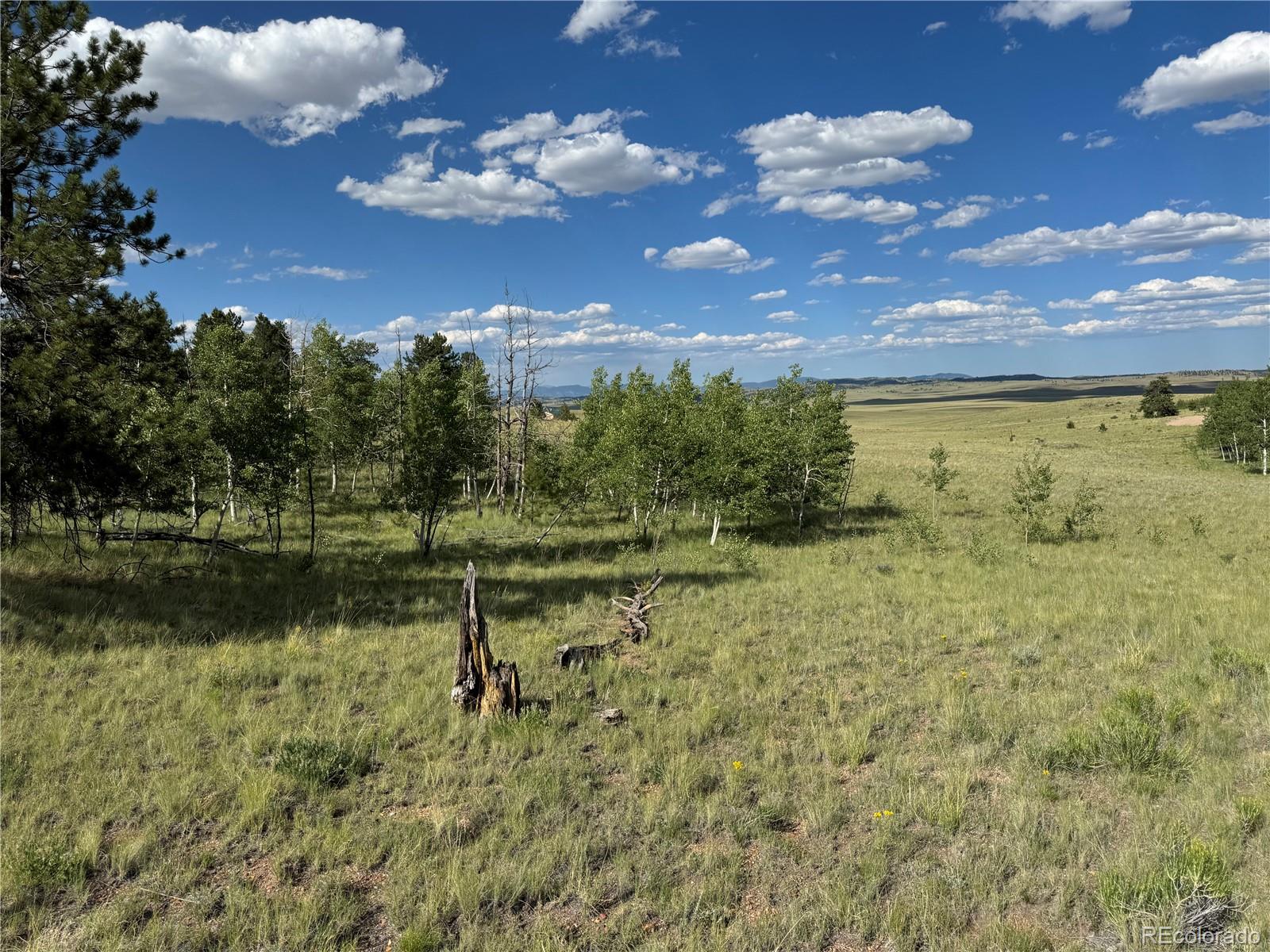 833 Angus Circle Hartsel CO 80449