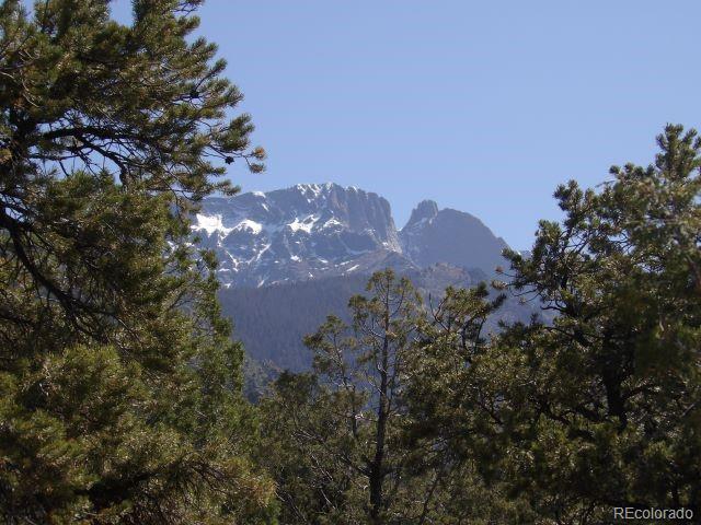 2731 Holiday Place Crestone CO 81131