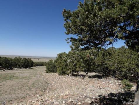 2731 Holiday Place Crestone CO 81131