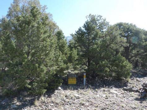 2731 Holiday Place Crestone CO 81131