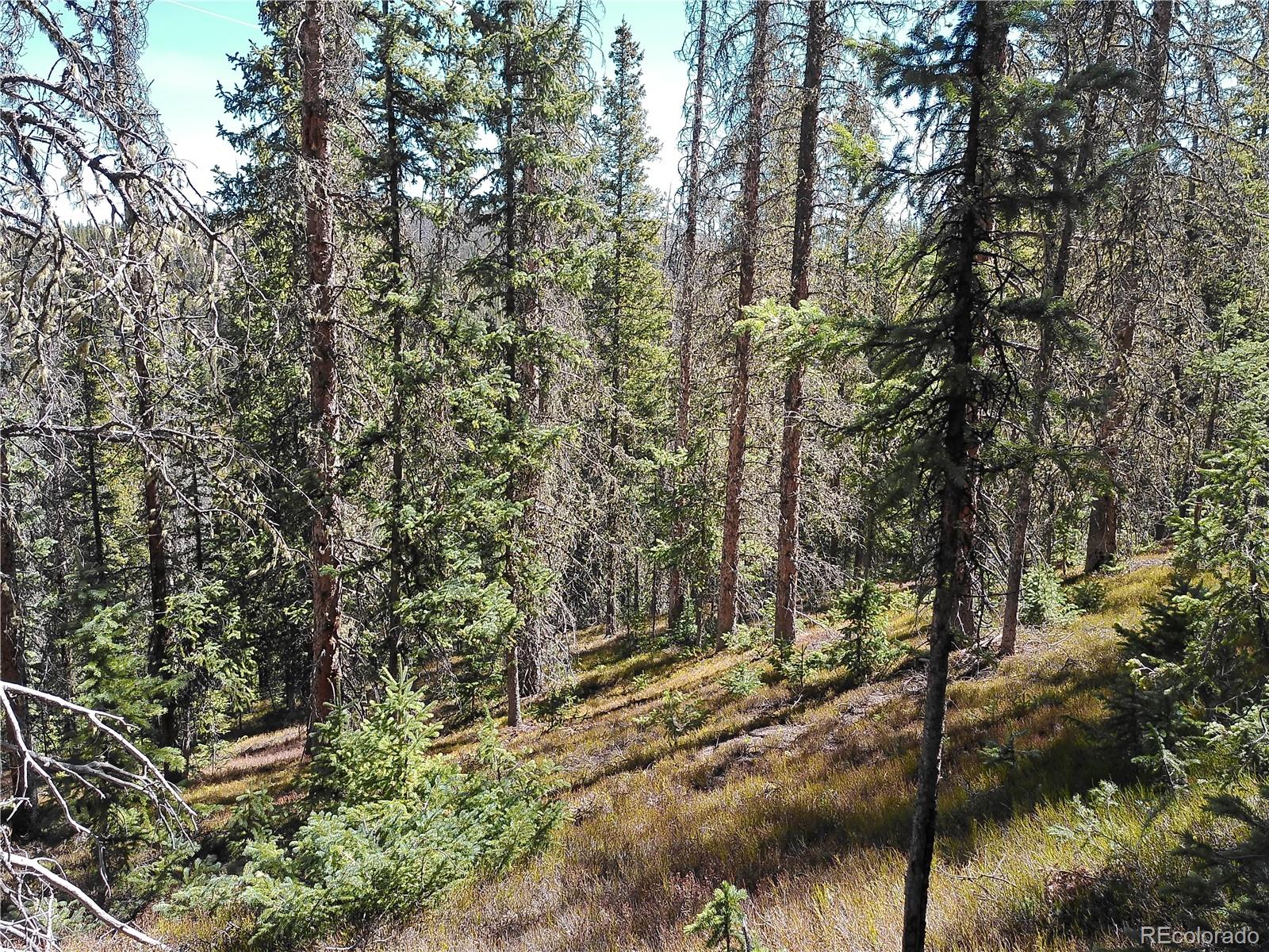 Forbes Fort Garland CO 81133