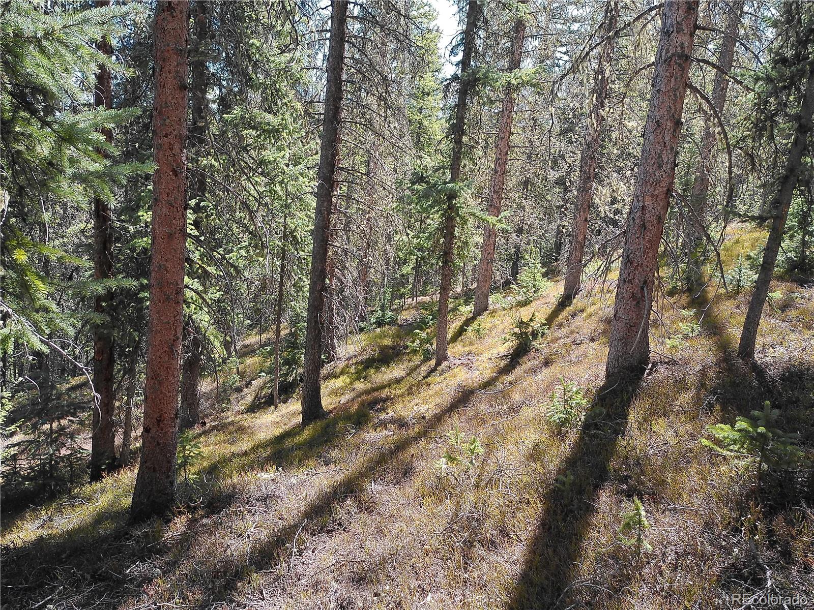 Forbes Fort Garland CO 81133