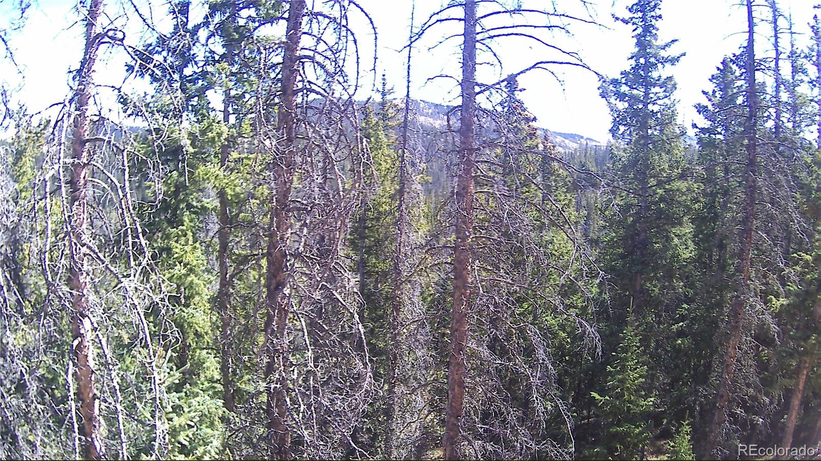 Forbes Fort Garland CO 81133