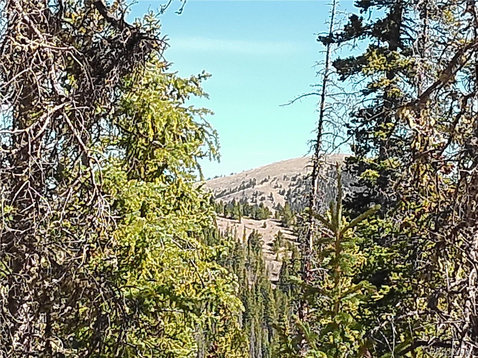 Forbes Fort Garland CO 81133