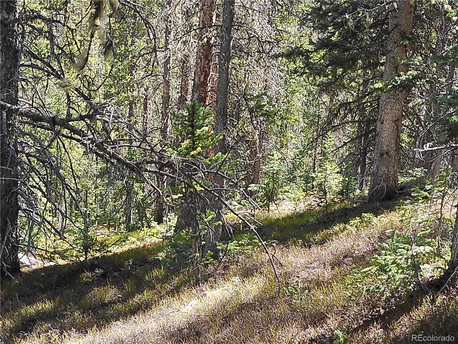 Forbes Fort Garland CO 81133