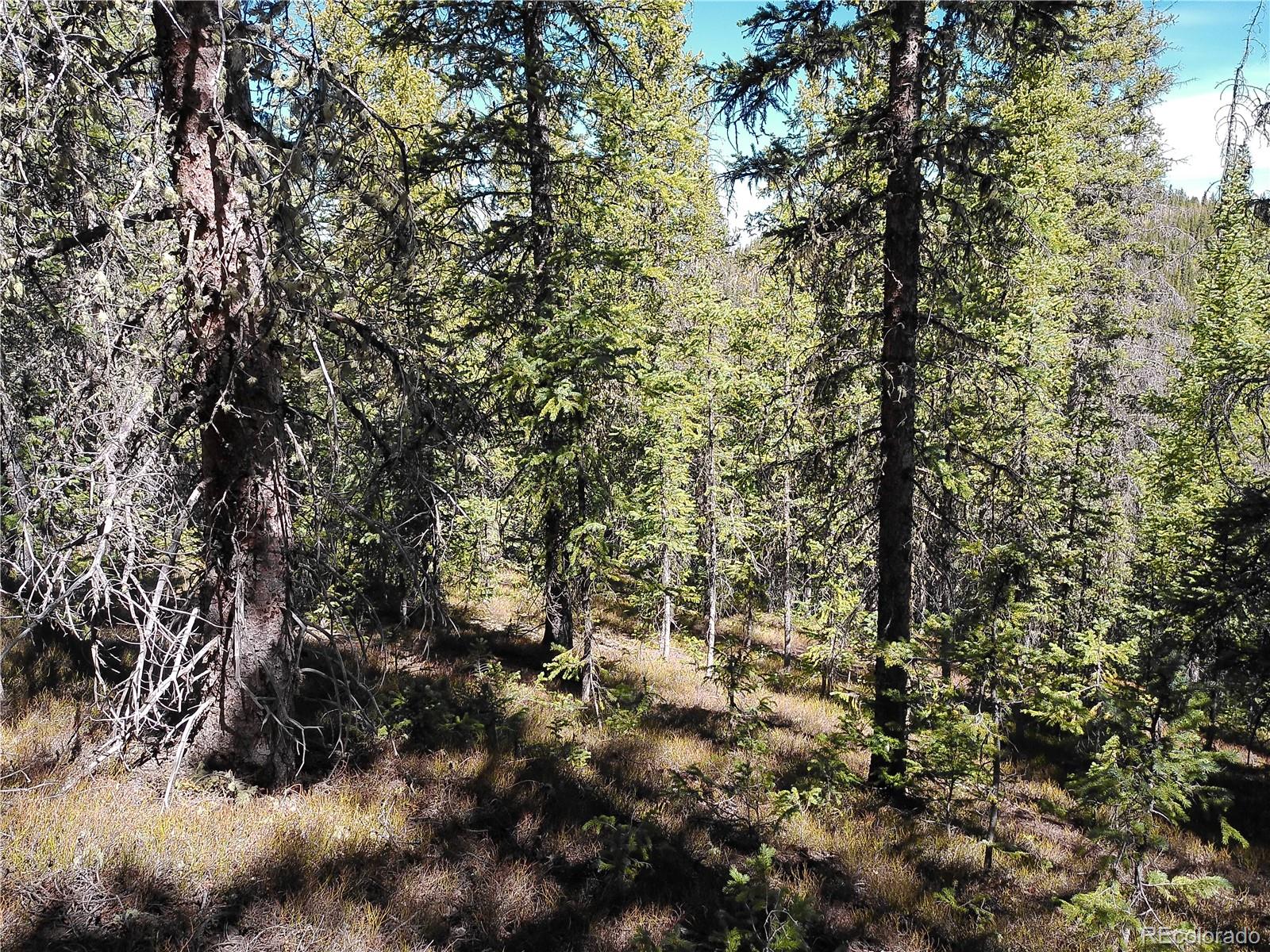 Forbes Fort Garland CO 81133
