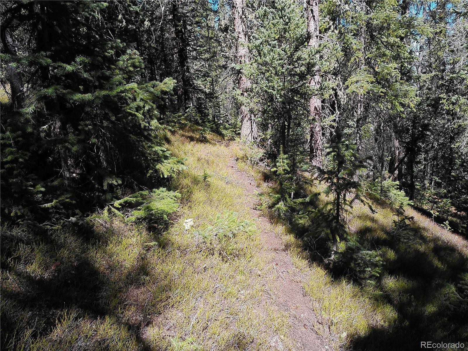 Forbes Fort Garland CO 81133