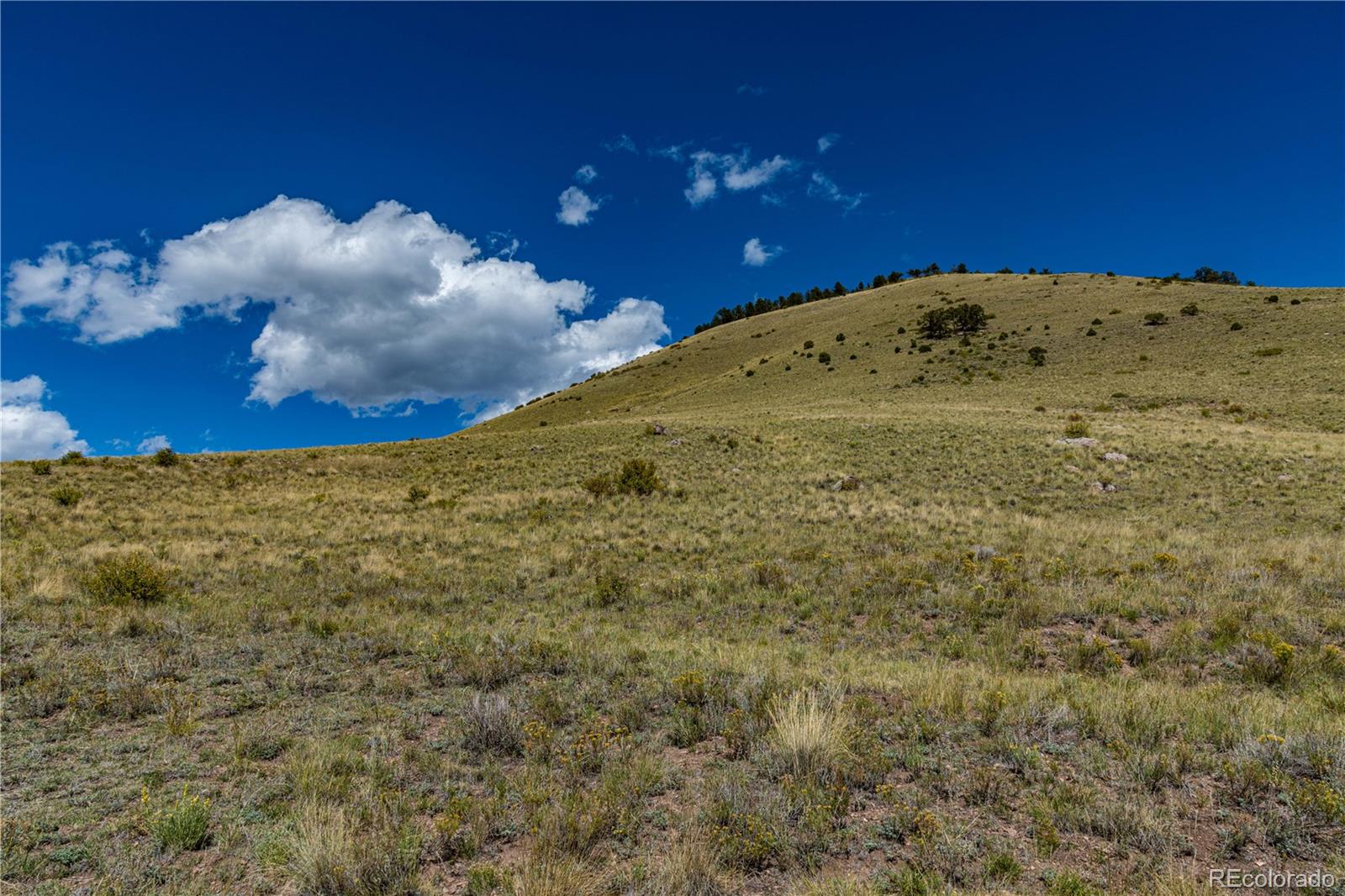 340 Huntley Place Cotopaxi CO 81223