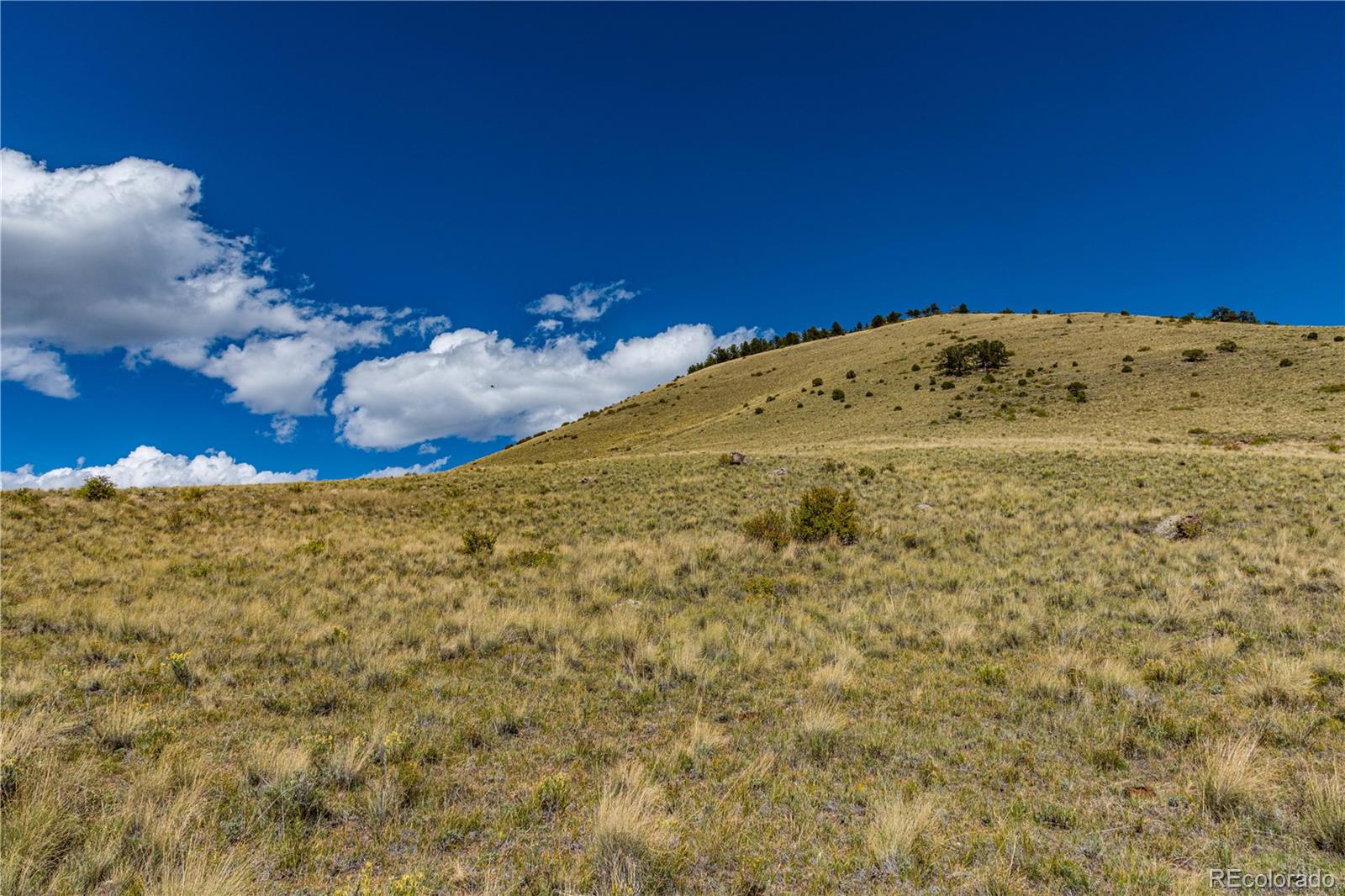 340 Huntley Place Cotopaxi CO 81223