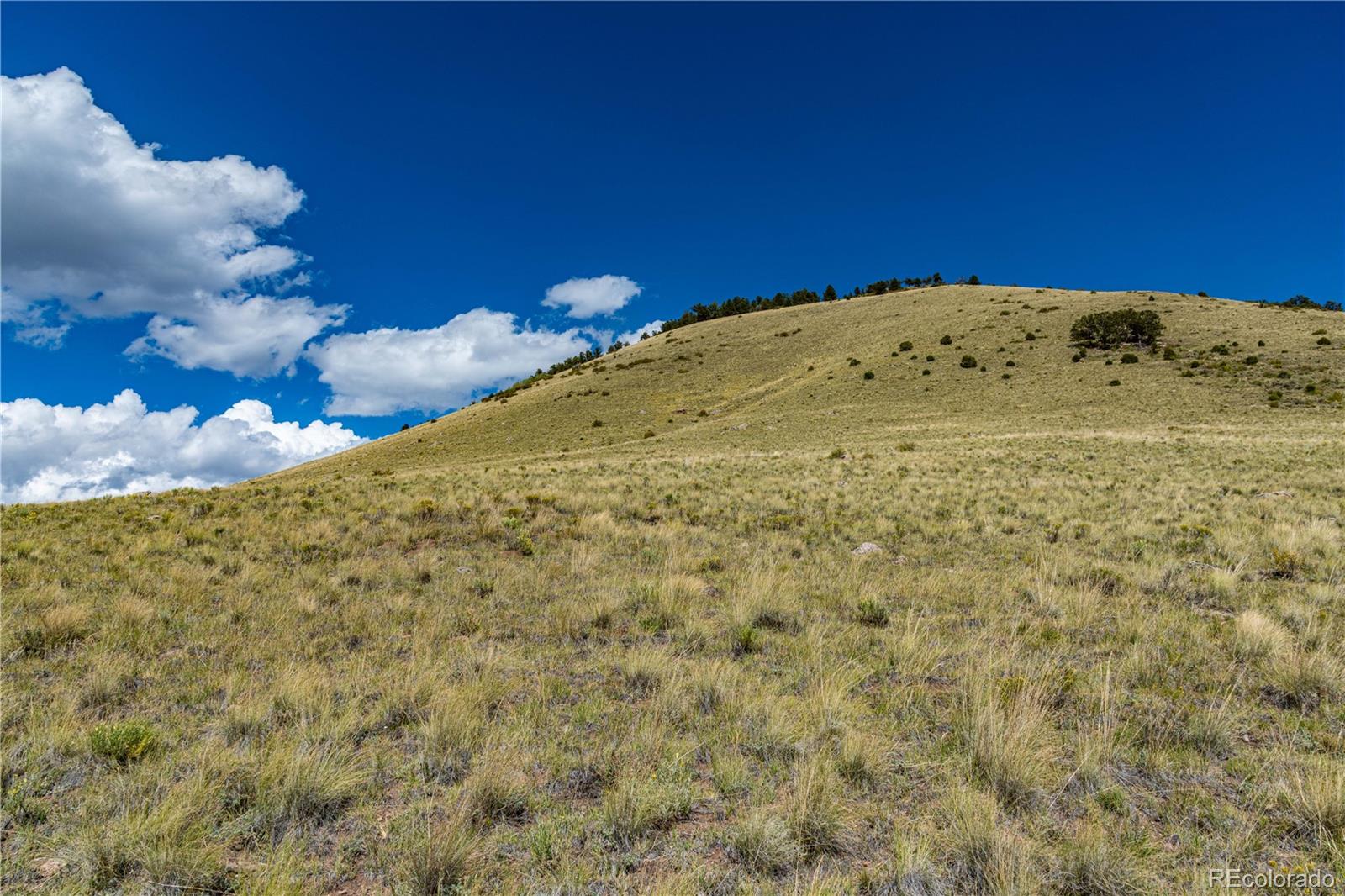 340 Huntley Place Cotopaxi CO 81223