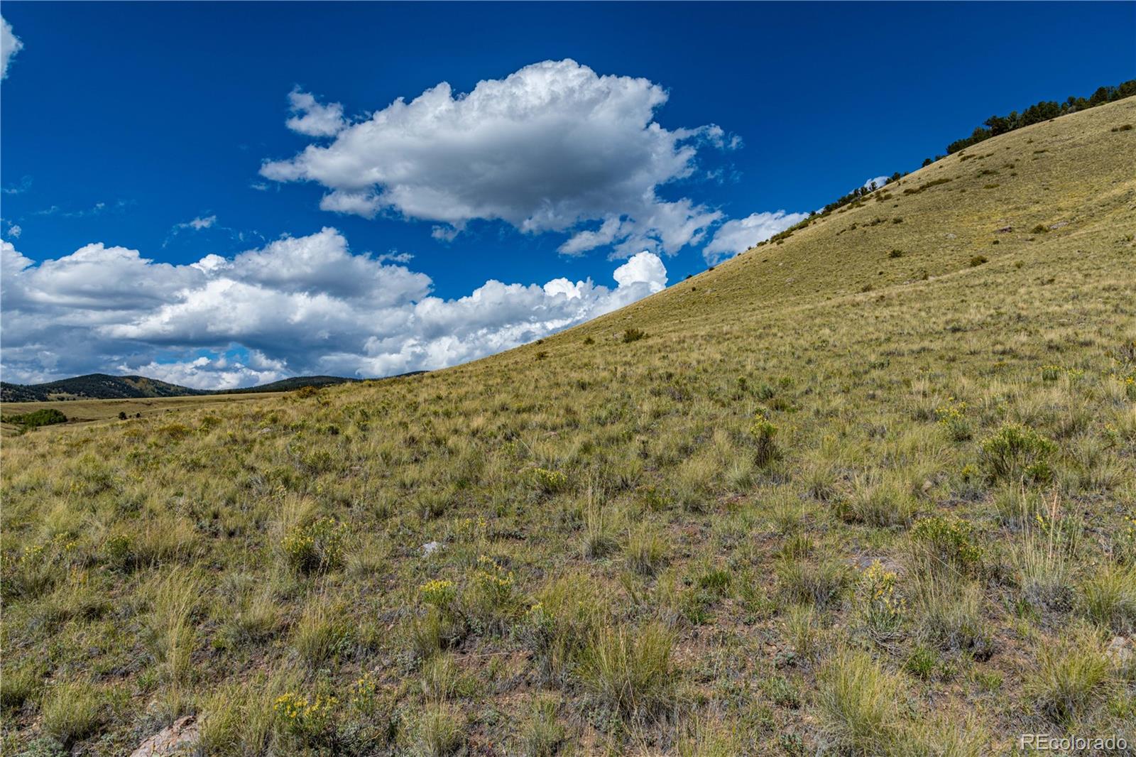 340 Huntley Place Cotopaxi CO 81223