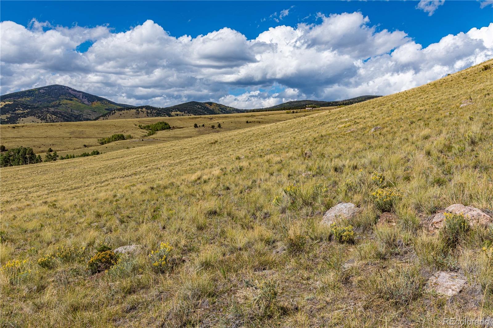 340 Huntley Place Cotopaxi CO 81223