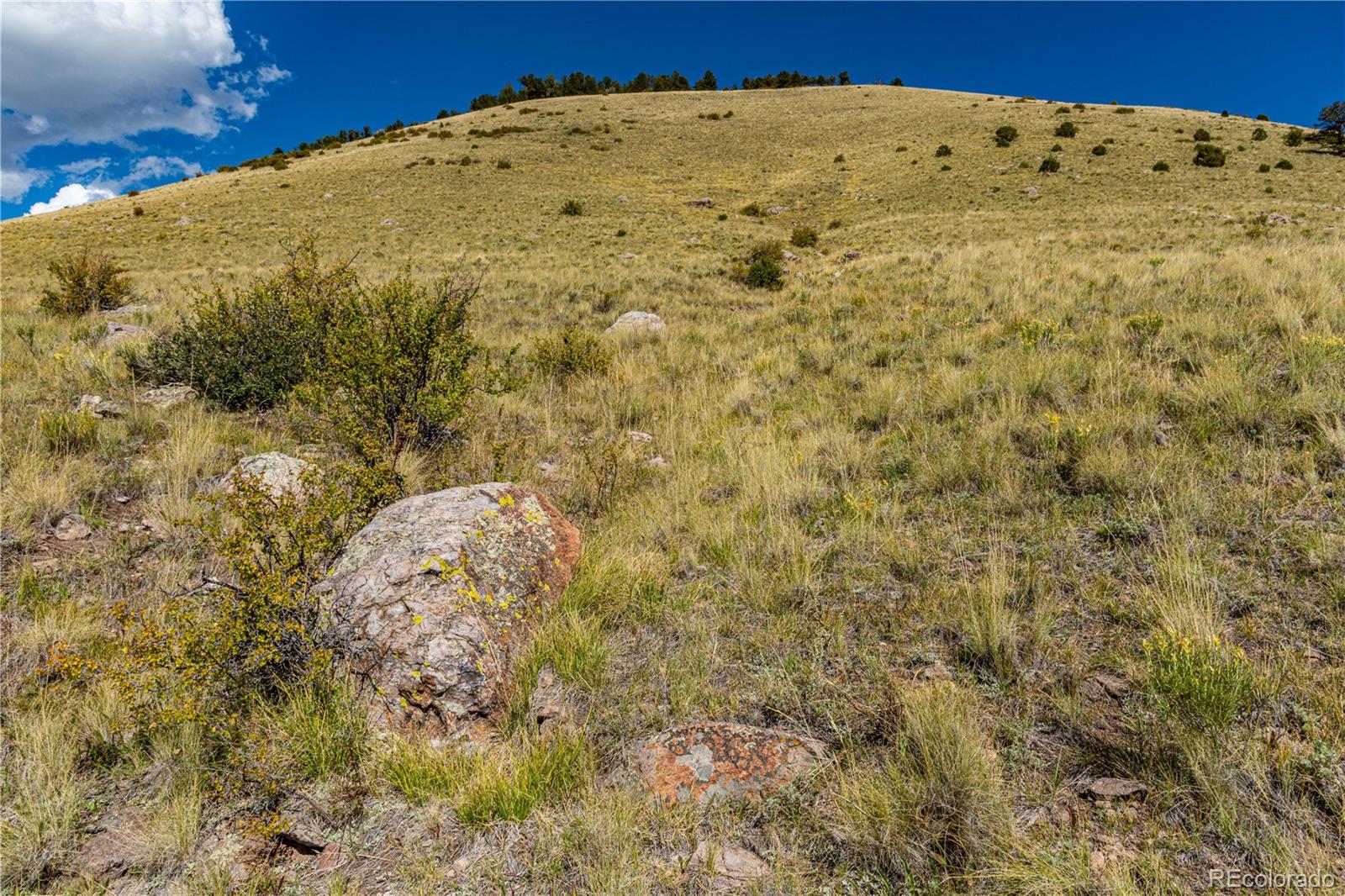 340 Huntley Place Cotopaxi CO 81223