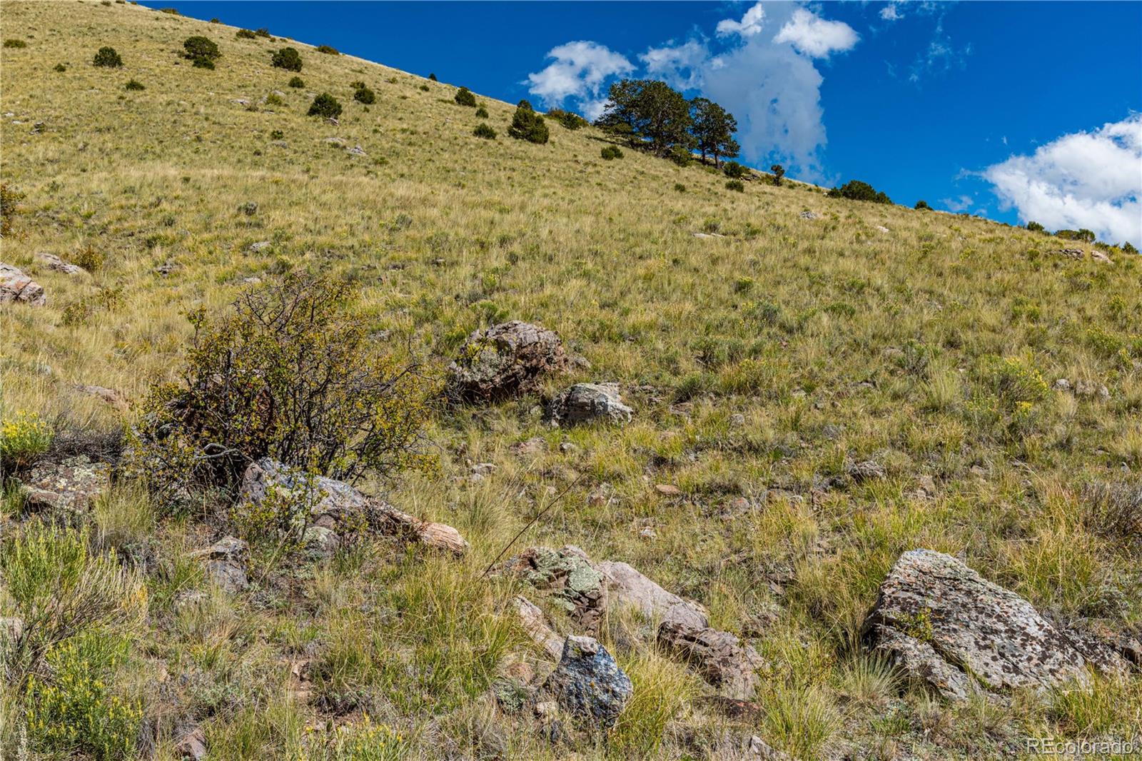 340 Huntley Place Cotopaxi CO 81223