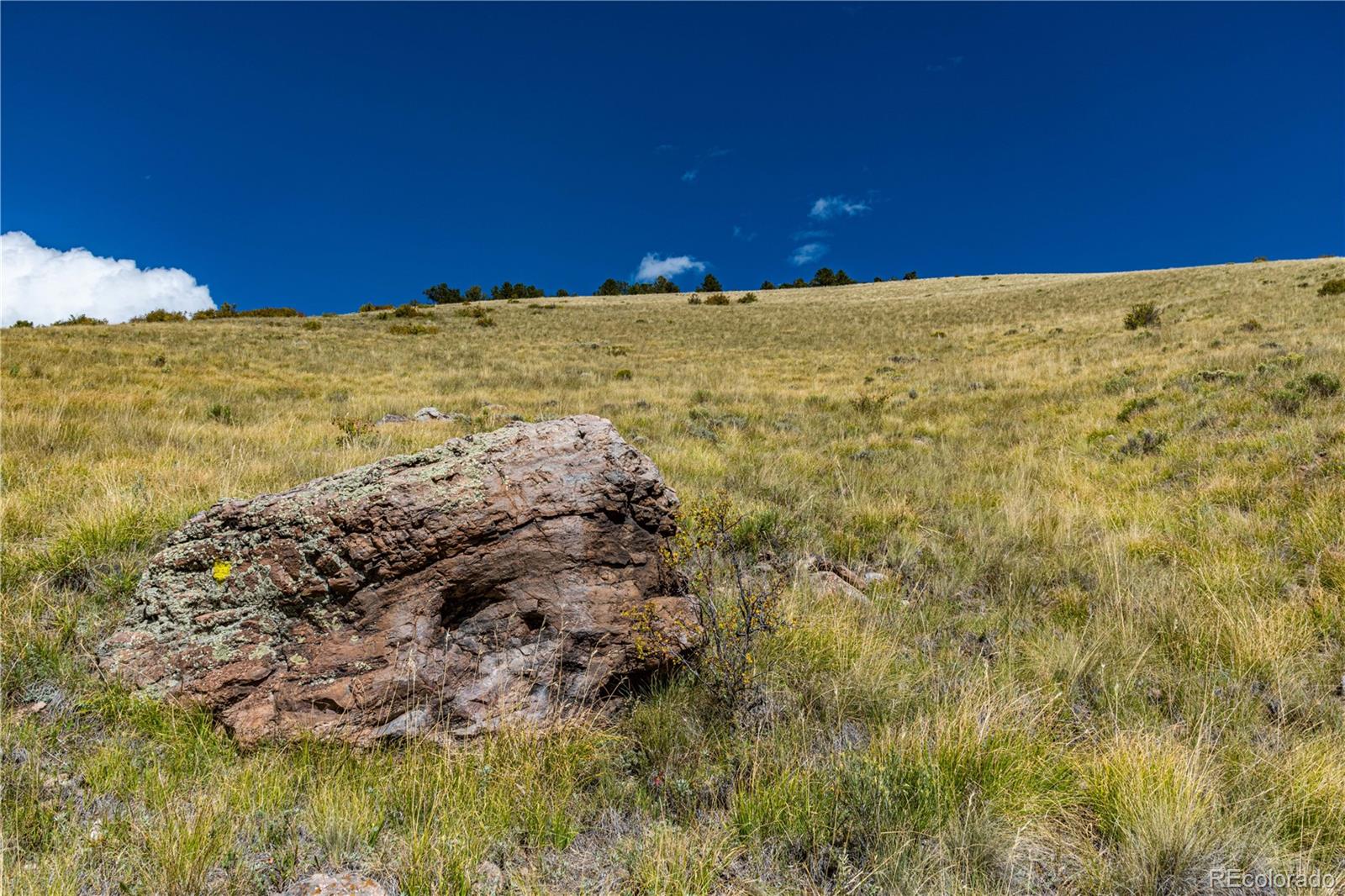 340 Huntley Place Cotopaxi CO 81223