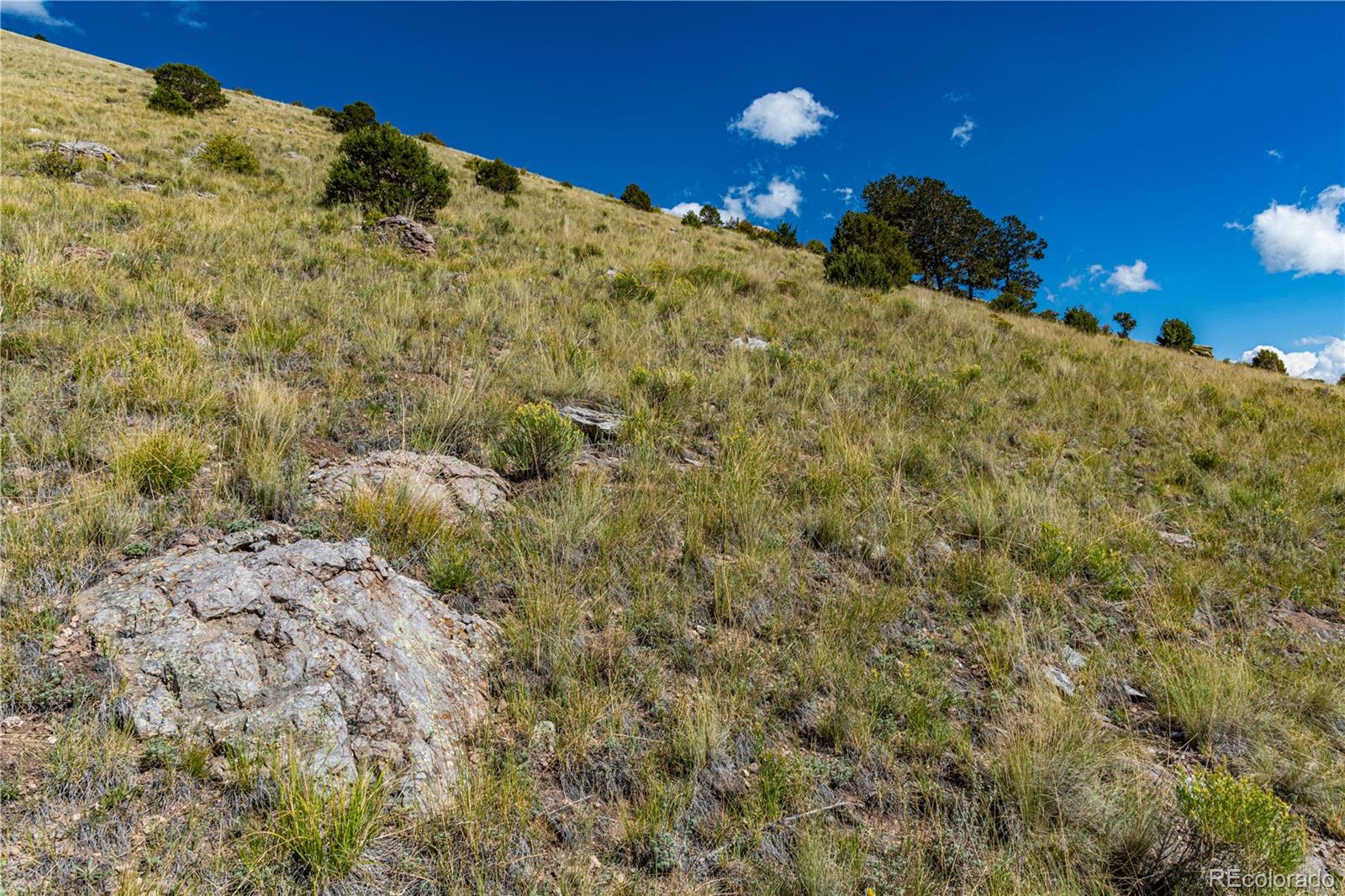 340 Huntley Place Cotopaxi CO 81223