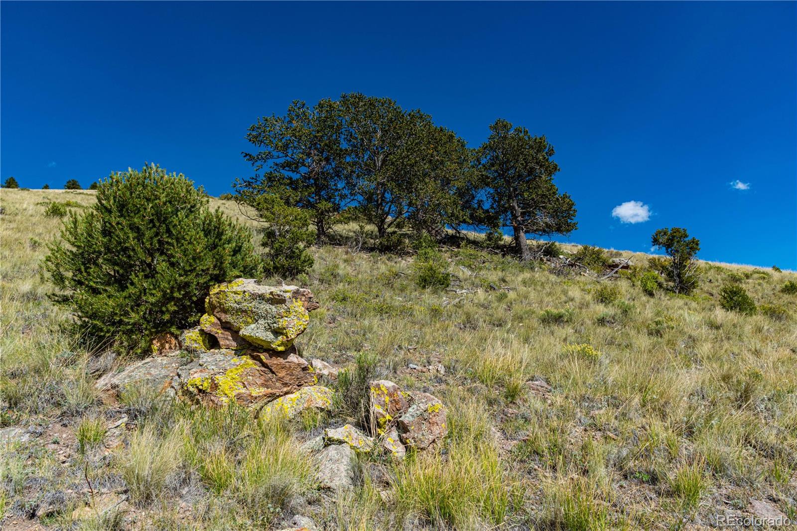 340 Huntley Place Cotopaxi CO 81223