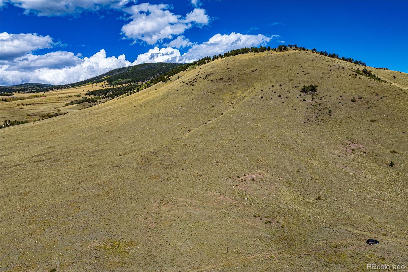 340 Huntley Place Cotopaxi CO 81223