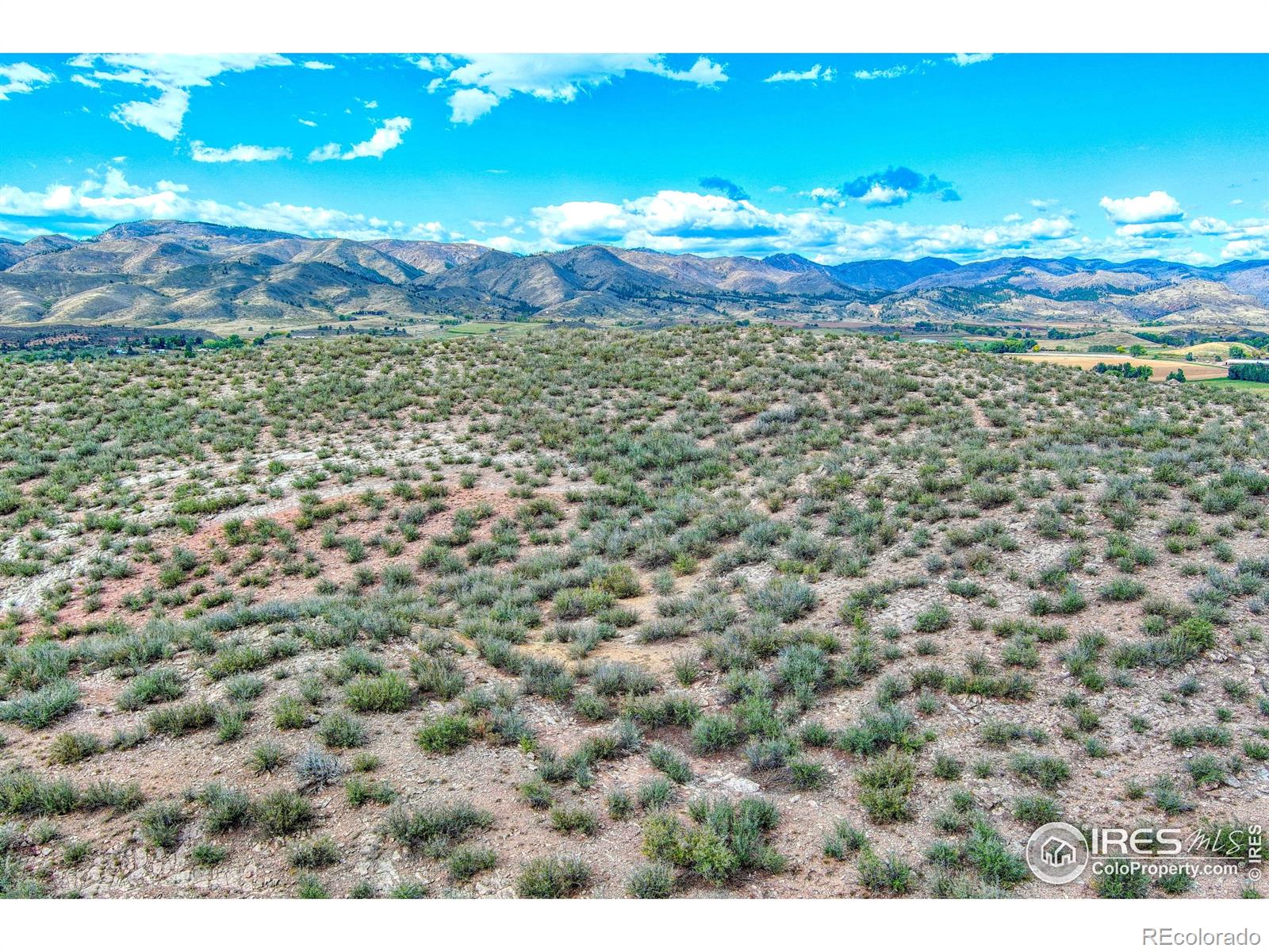 3501 Raptor Ridge Lane Laporte CO 80535