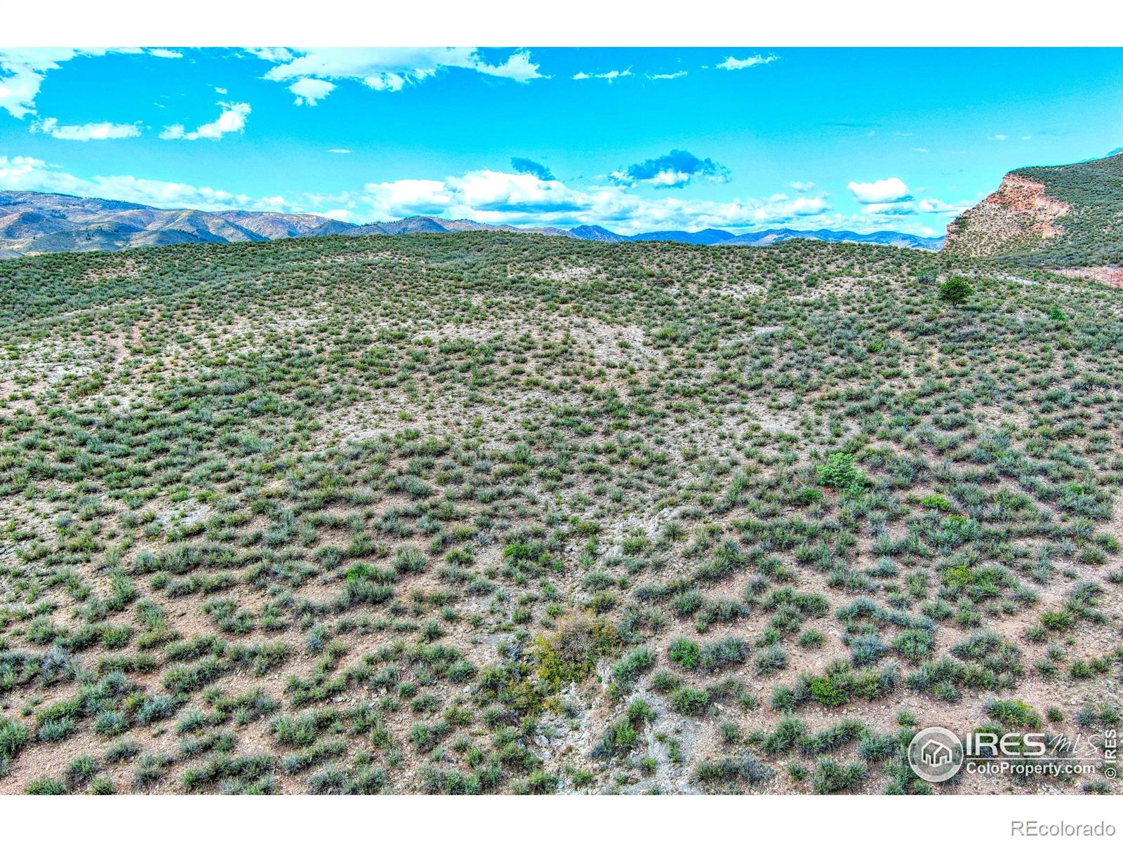 3501 Raptor Ridge Lane Laporte CO 80535