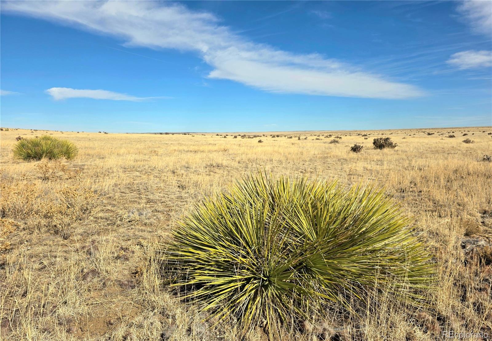 Tbd County Road 103 Walsenburg CO 81089