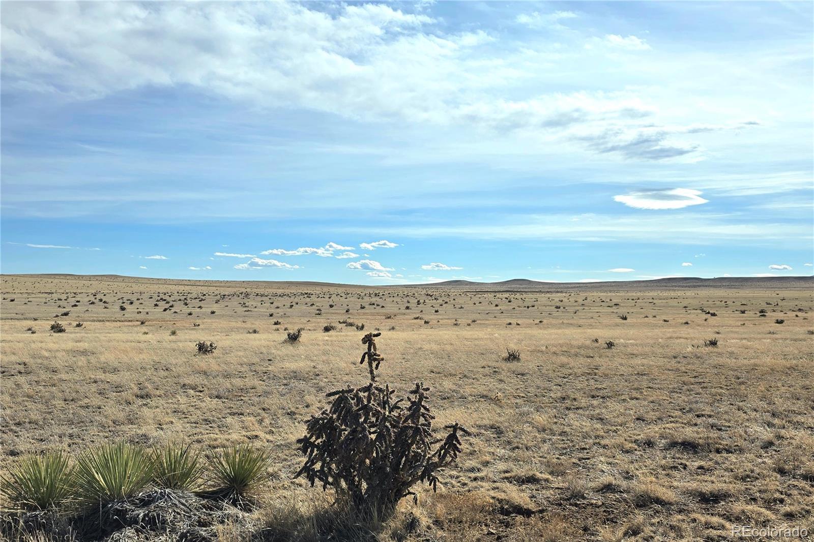 Tbd County Road 103 Walsenburg CO 81089
