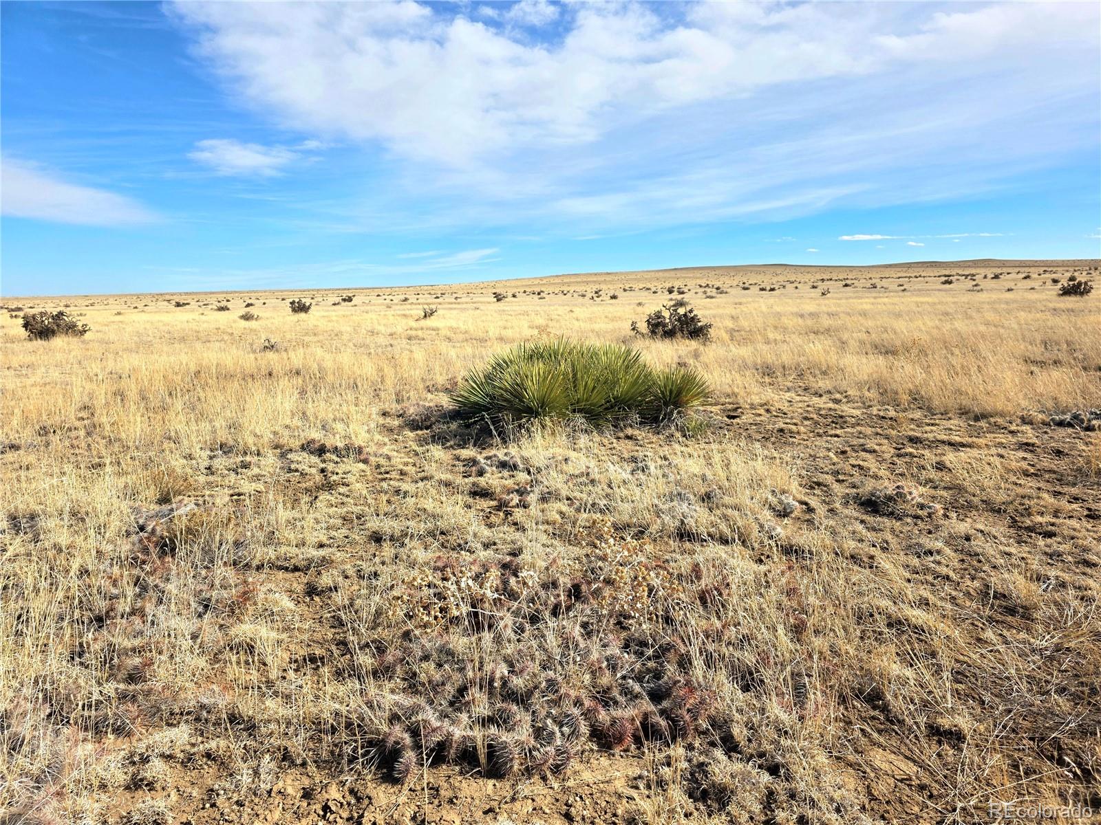 Tbd County Road 103 Walsenburg CO 81089
