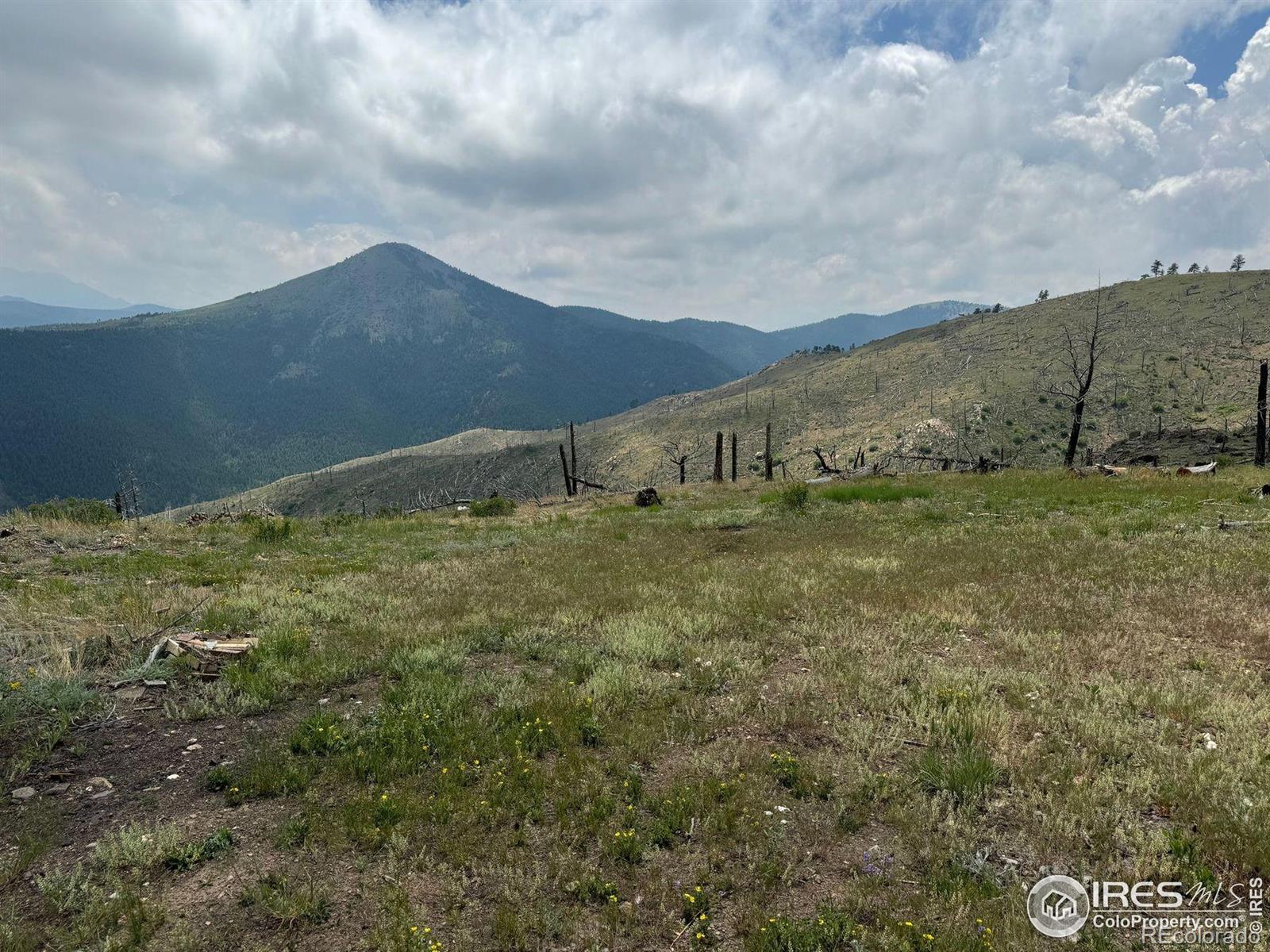 280 Rim Road Boulder CO 80302