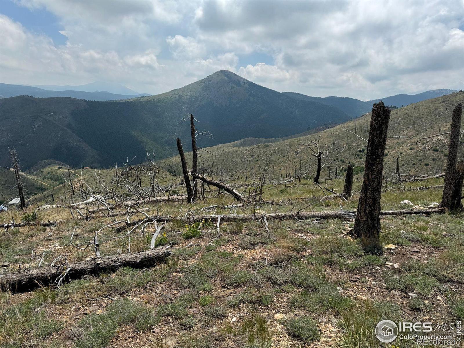 280 Rim Road Boulder CO 80302