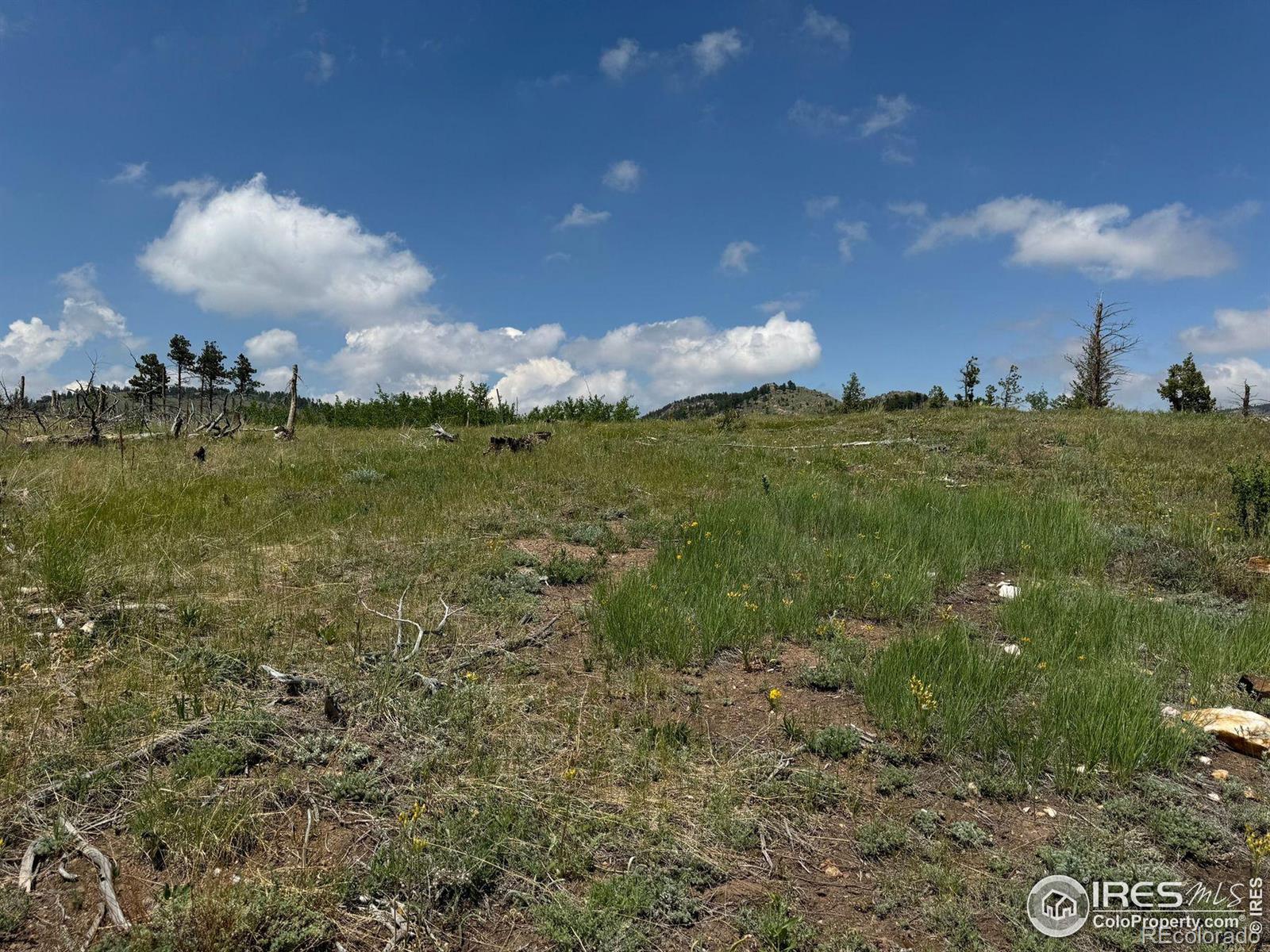 280 Rim Road Boulder CO 80302