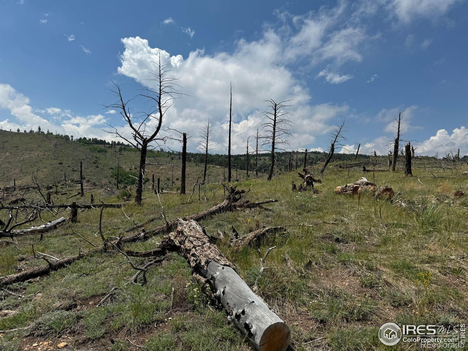 280 Rim Road Boulder CO 80302