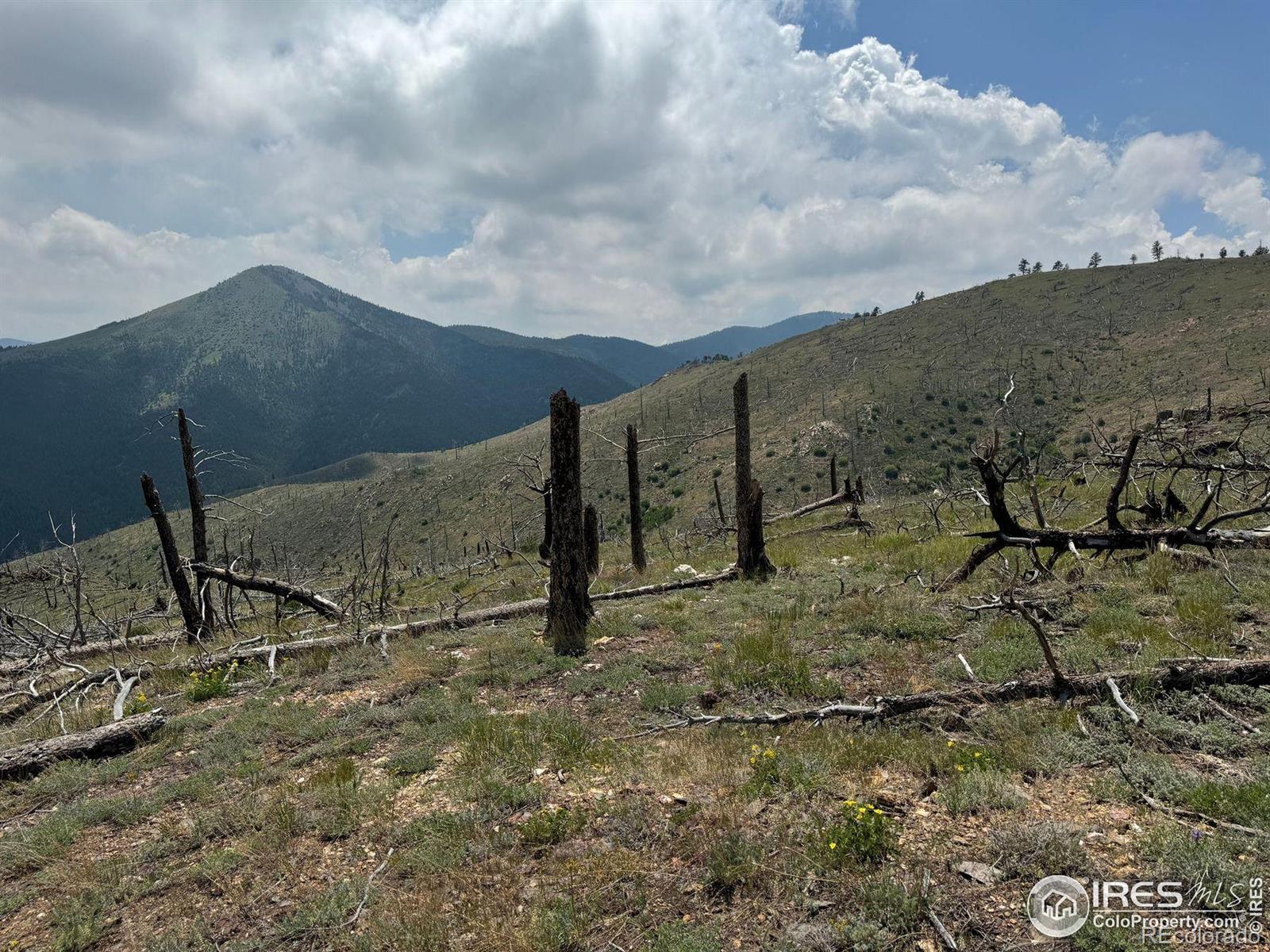 280 Rim Road Boulder CO 80302