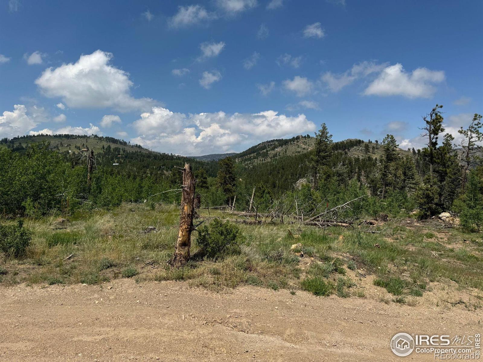 280 Rim Road Boulder CO 80302