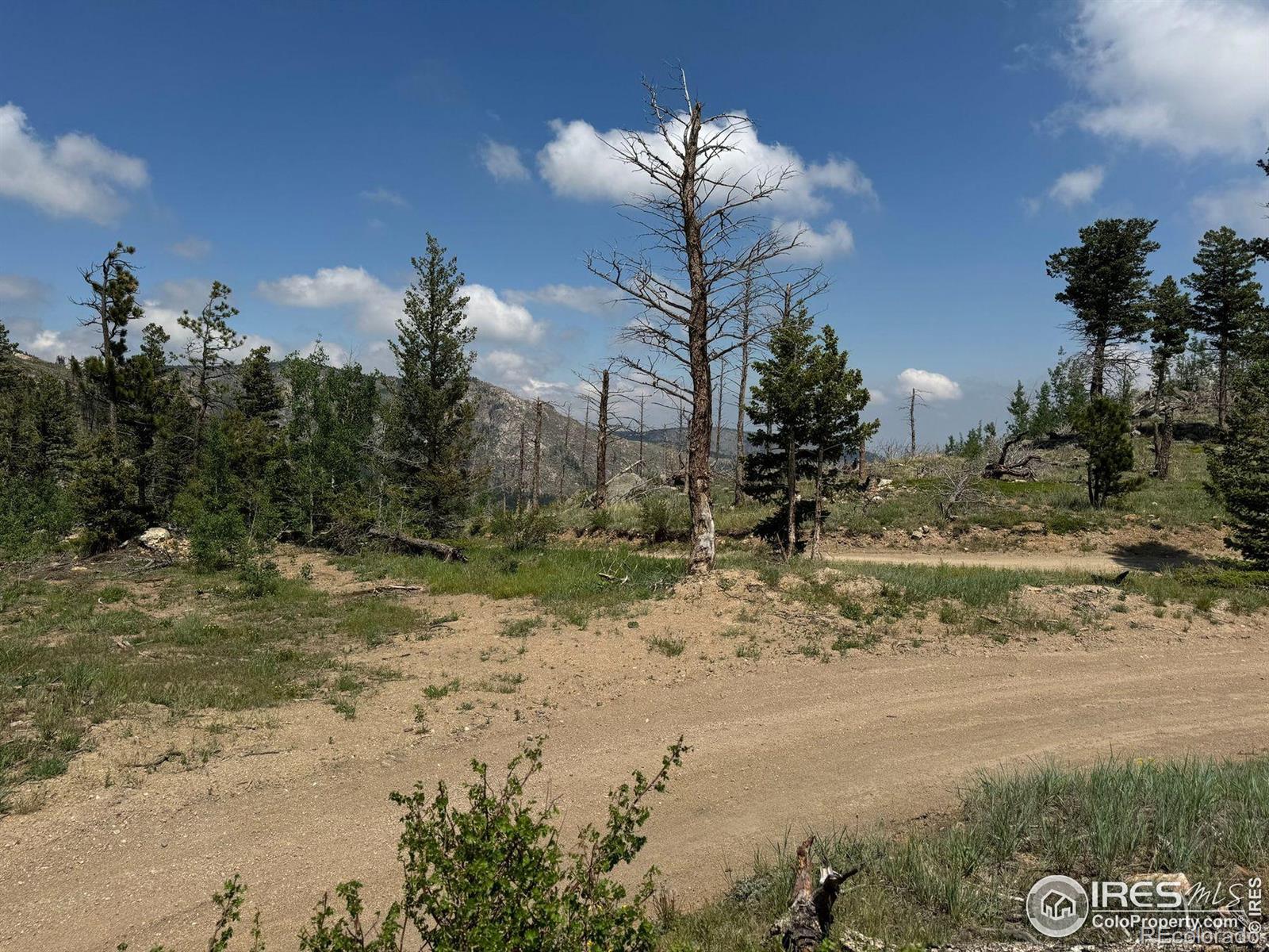 280 Rim Road Boulder CO 80302