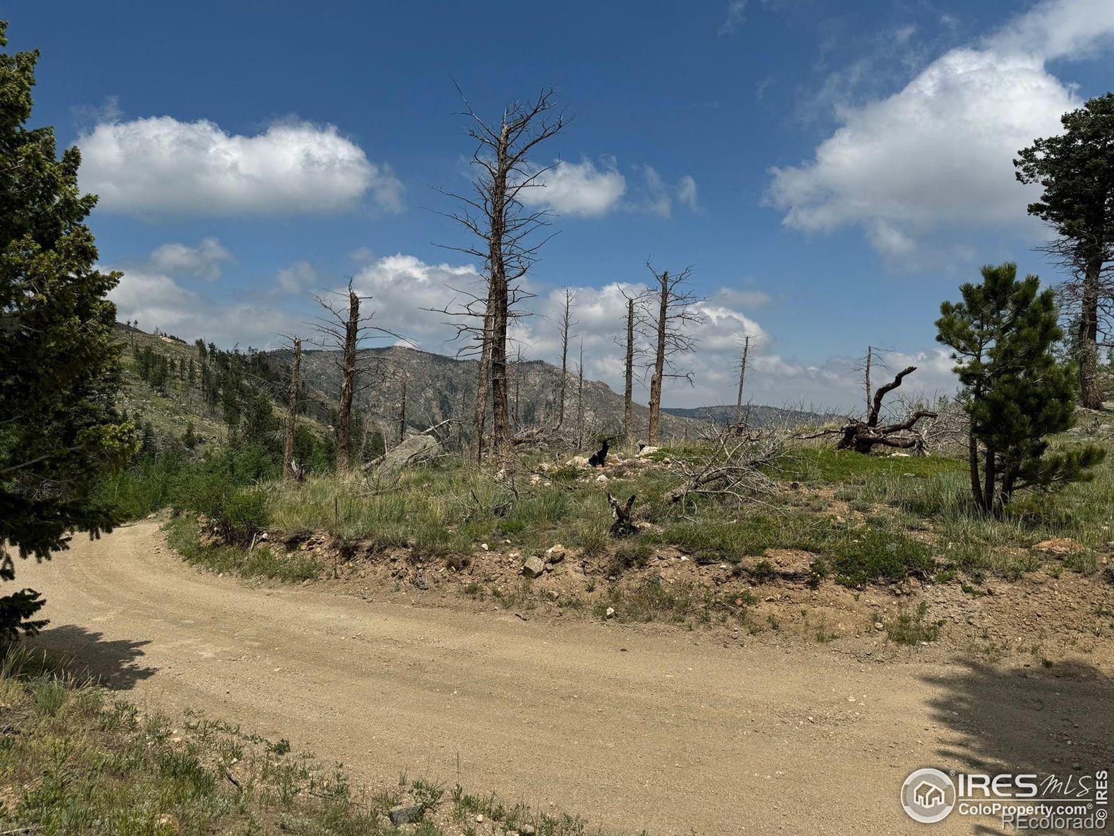 280 Rim Road Boulder CO 80302