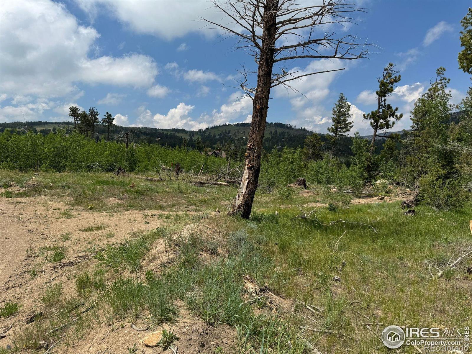 280 Rim Road Boulder CO 80302