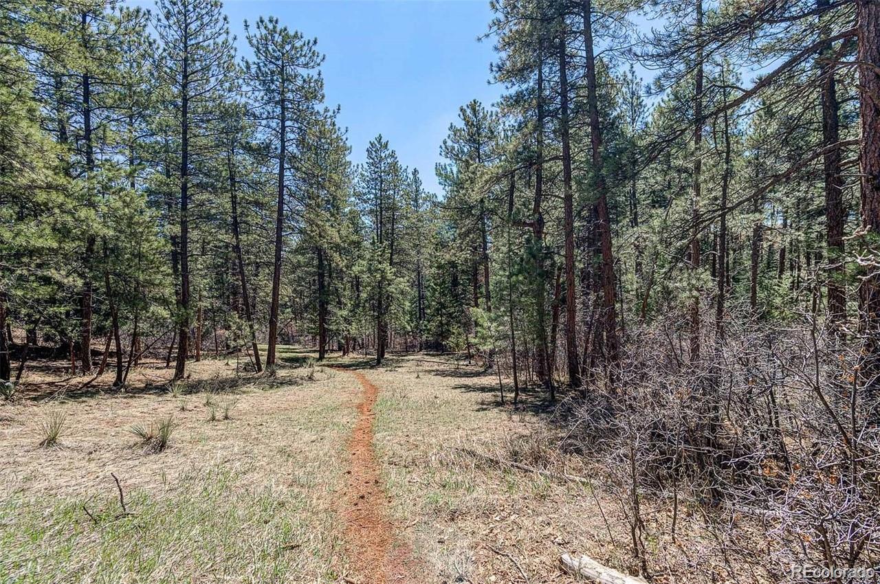8173 Bannock Drive Larkspur CO 80118